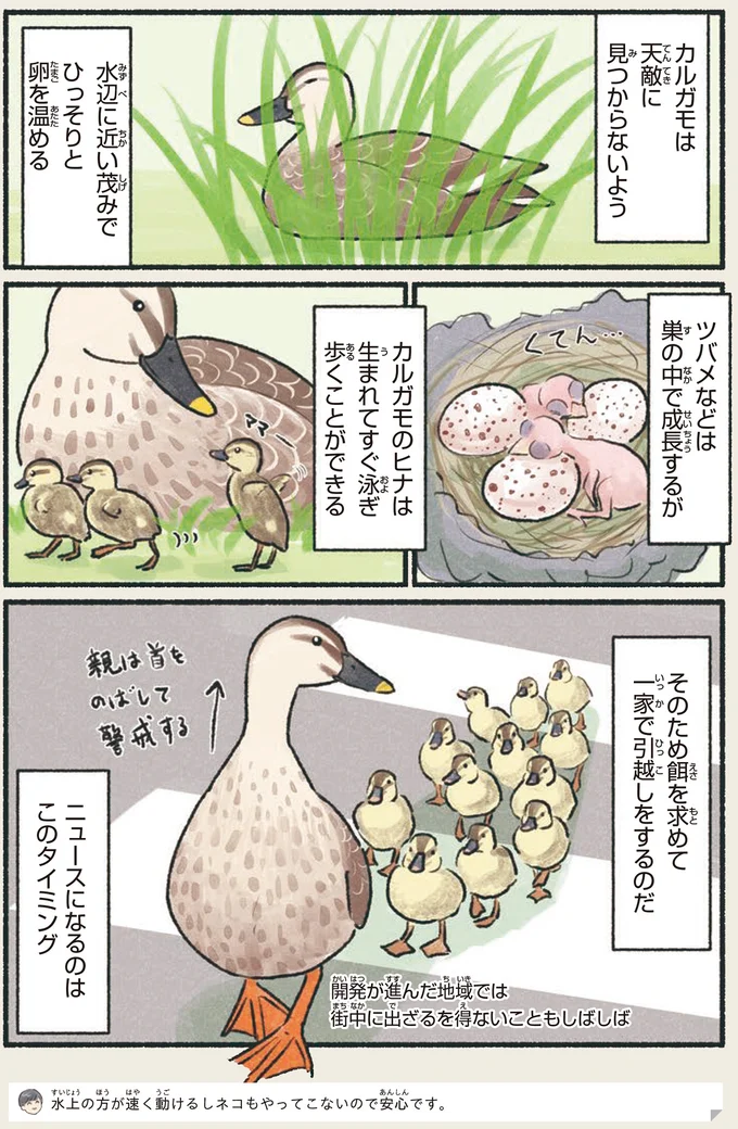 ニュースになるのはこのタイミング