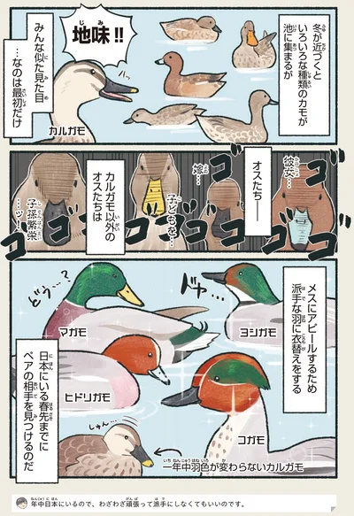 地味！！