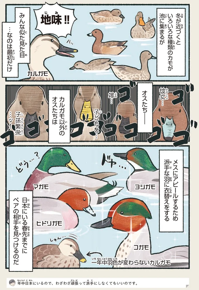 地味!!