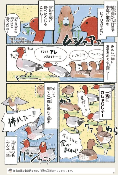 一斉にむしゃむしゃ！