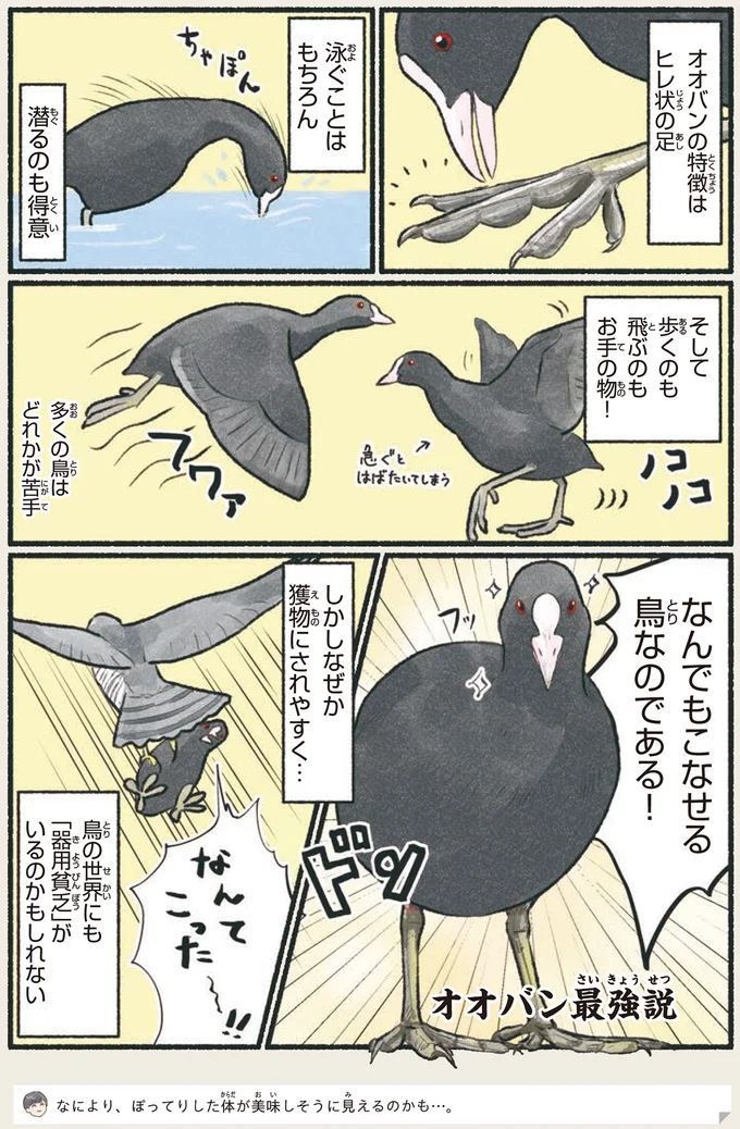 鳥の世界にも「器用貧乏」がいるのかもしれない
