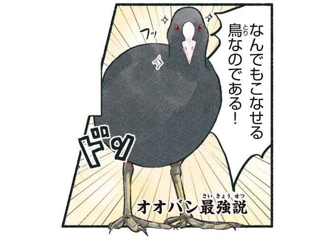 なんでもこなせる鳥なのである！