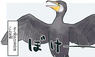 よく見かけるのはこんな姿
