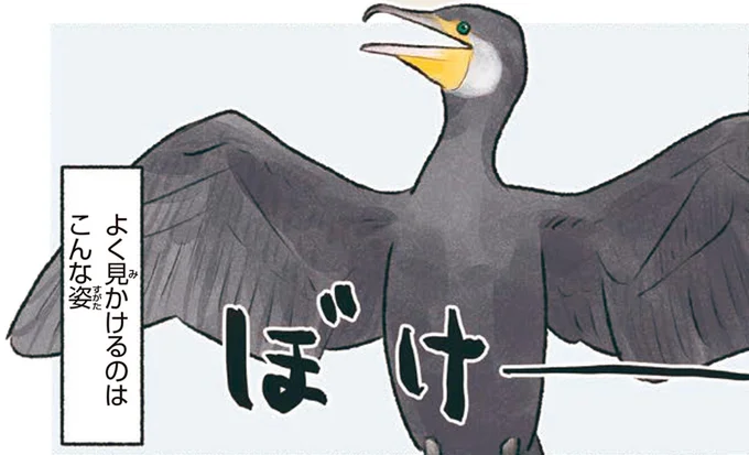よく見かけるのはこんな姿