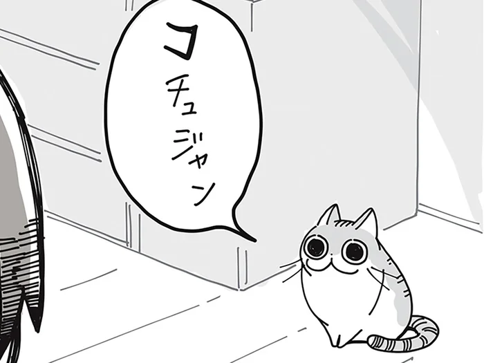 しっかり言葉喋ってない？ ネコの口から発される「コチュジャン」