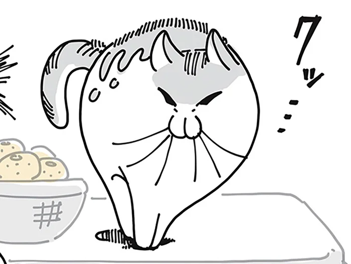 ネコが警戒？ こたつでぬくぬくな飼い主が手に取ったのは