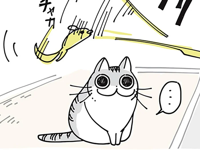 「お気に召さないか～」おもちゃに食いつかないネコ、10分後にはすごいことに