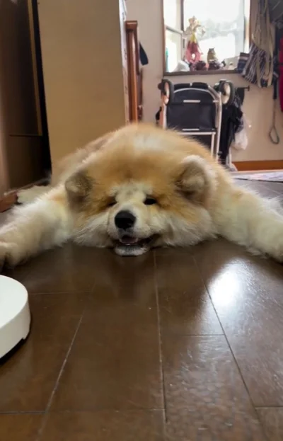 両手両足を伸ばし動かない…▶ひんやりとした床が…（⇒次へ）