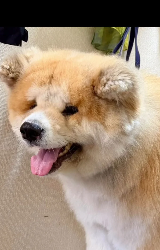 サッパリ▶オシャレしてお出かけ(⇒次へ)