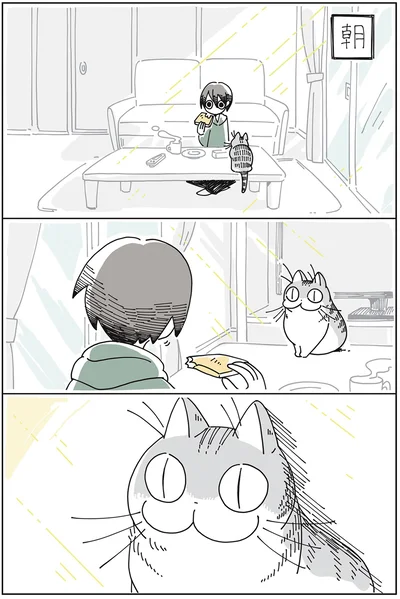 朝の様子