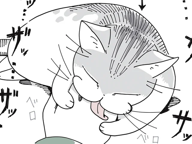 嬉しいけど、痛いんだよなぁ。おそらく愛情をもってグルーミングしてくれる猫
