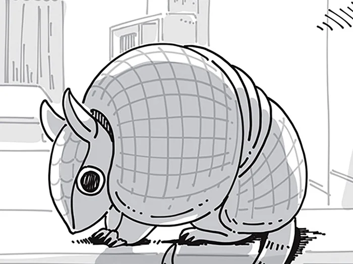 七面鳥、カブトガニ、アルマジロ!? なんにでも見えるネコの不思議さ