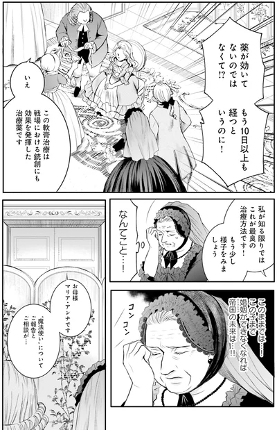 『ラ・マキユーズ～ヴェルサイユの化粧師～3』より