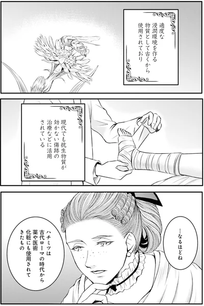 『ラ・マキユーズ～ヴェルサイユの化粧師～3』より