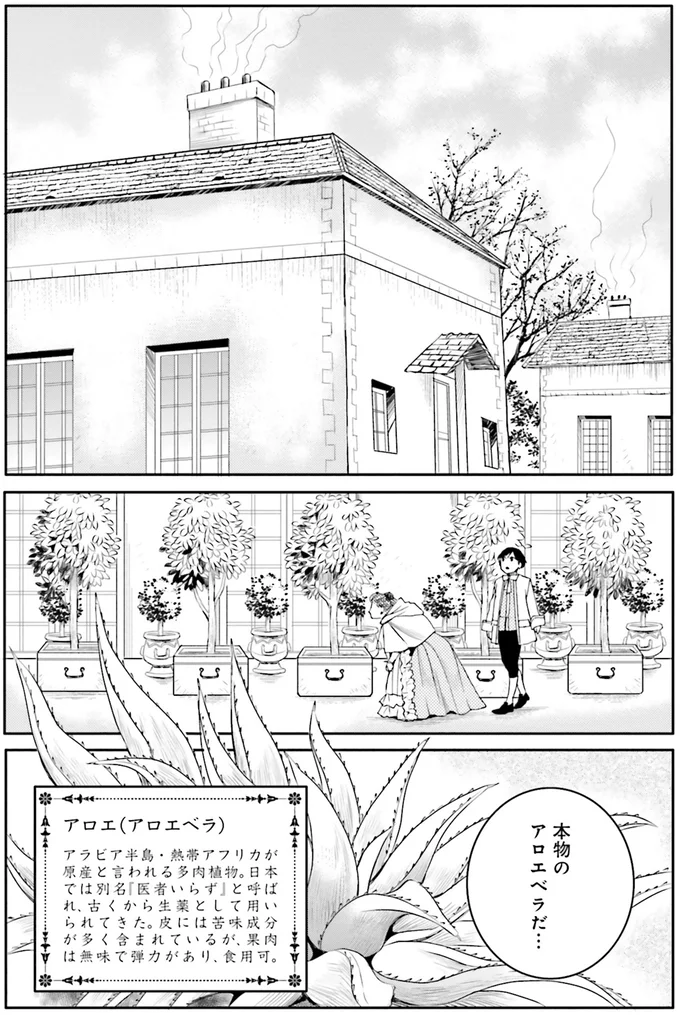 『ラ・マキユーズ~ヴェルサイユの化粧師~ 4』より