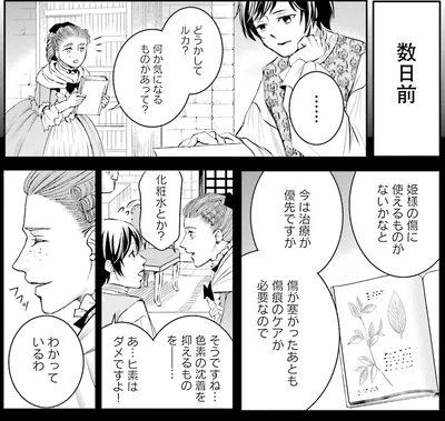 『ラ・マキユーズ~ヴェルサイユの化粧師~ 4』より
