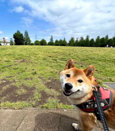 走りたくてうずうず！▶︎大好きなアレをください（⇒次へ）