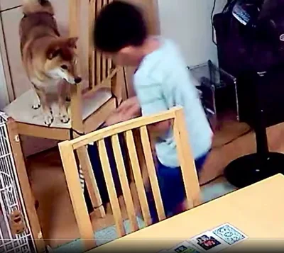 当時6歳の息子くん！▶︎困っているむぎまるくんに気づいて…（⇒次へ）