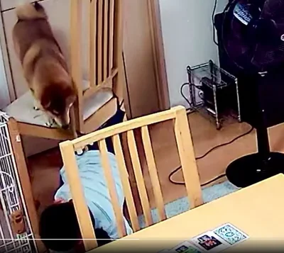 小さくかがんで台になってあげました！▶︎なんて優しいのでしょう（⇒次へ）