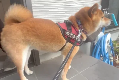 あふれる絶望感！！！▶︎実際のポストはこちら（⇒次へ）