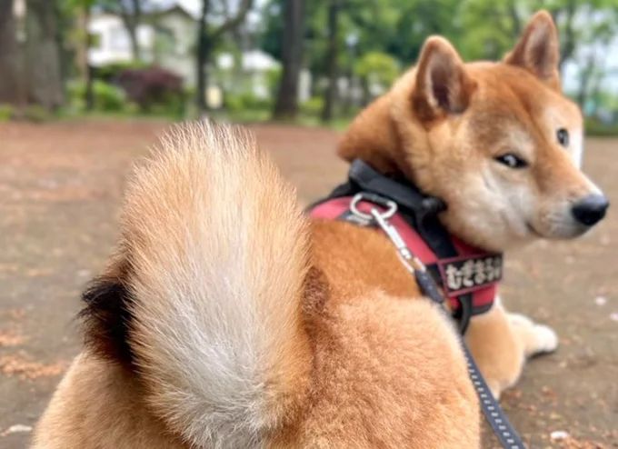 クールな表情！▶︎影になってもかっこいい！（⇒次へ）