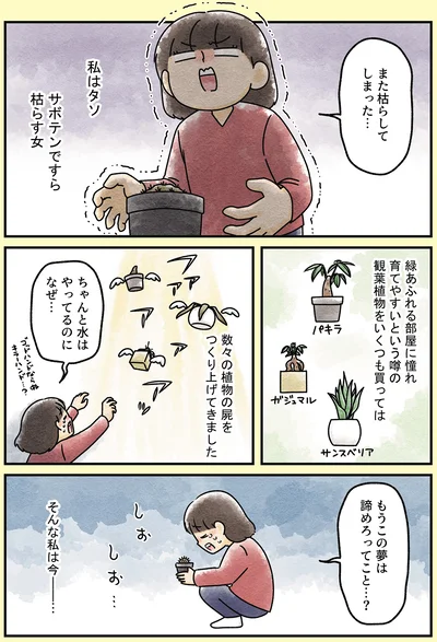 『ズボラでもできた 小さな緑で心が潤うお部屋づくり 苔テラリウムはじめました』より