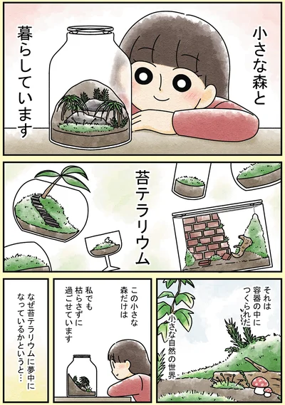 『ズボラでもできた 小さな緑で心が潤うお部屋づくり 苔テラリウムはじめました』より
