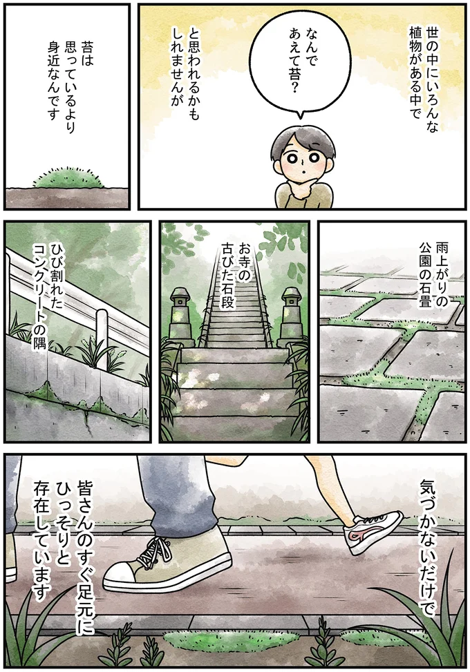 『ズボラでもできた 小さな緑で心が潤うお部屋づくり 苔テラリウムはじめました』より