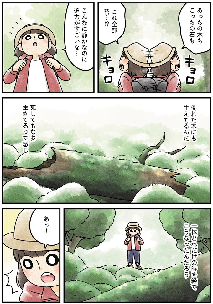 『ズボラでもできた 小さな緑で心が潤うお部屋づくり 苔テラリウムはじめました』より