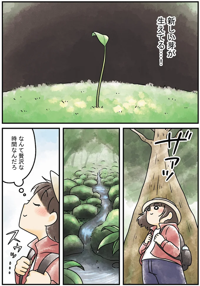 『ズボラでもできた 小さな緑で心が潤うお部屋づくり 苔テラリウムはじめました』より
