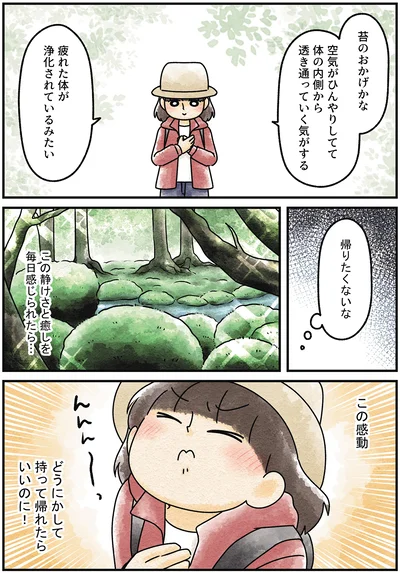 『ズボラでもできた 小さな緑で心が潤うお部屋づくり 苔テラリウムはじめました』より