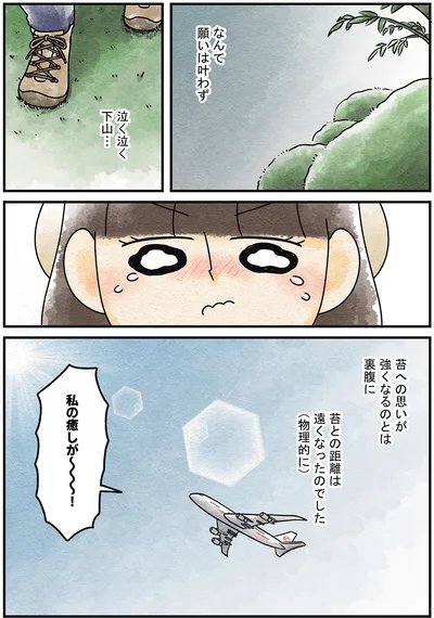 『ズボラでもできた 小さな緑で心が潤うお部屋づくり 苔テラリウムはじめました』より