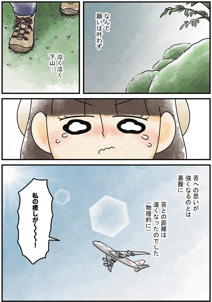 『ズボラでもできた 小さな緑で心が潤うお部屋づくり 苔テラリウムはじめました』より
