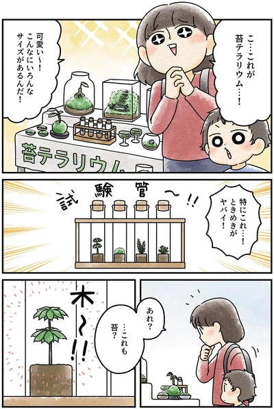『ズボラでもできた 小さな緑で心が潤うお部屋づくり 苔テラリウムはじめました』より