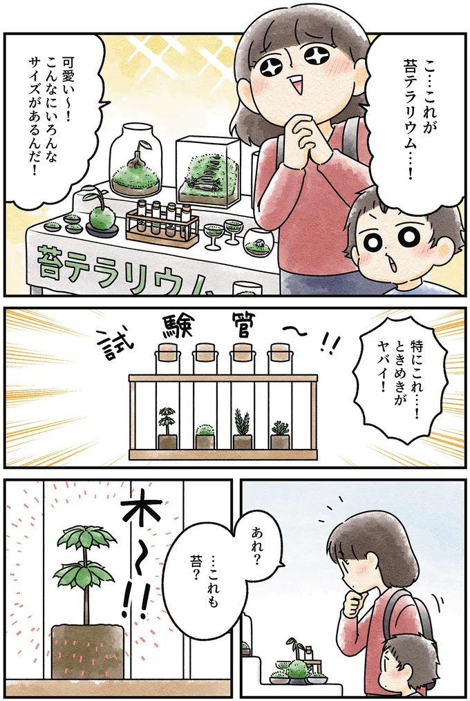 『ズボラでもできた 小さな緑で心が潤うお部屋づくり 苔テラリウムはじめました』より