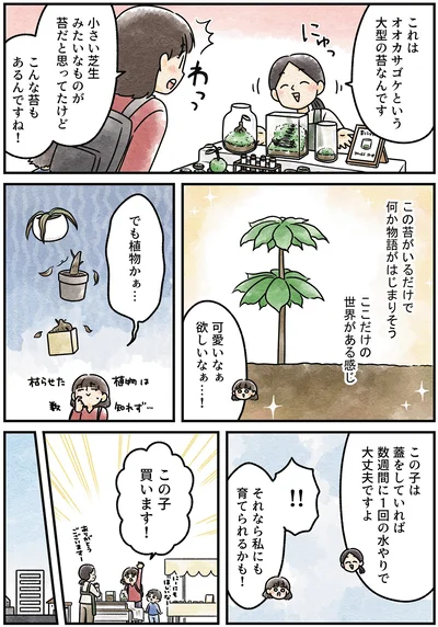 『ズボラでもできた 小さな緑で心が潤うお部屋づくり 苔テラリウムはじめました』より
