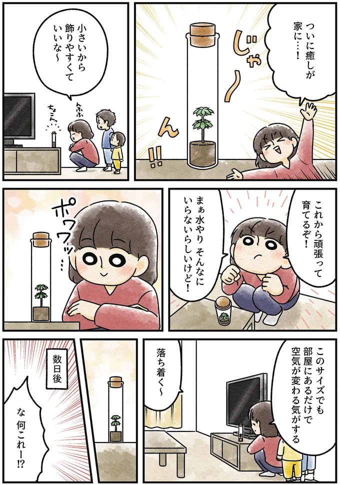 『ズボラでもできた 小さな緑で心が潤うお部屋づくり 苔テラリウムはじめました』より