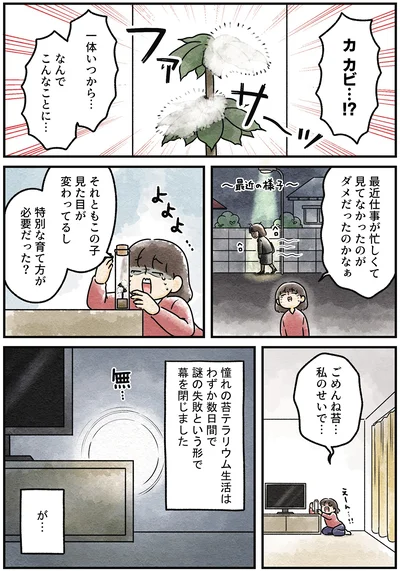 『ズボラでもできた 小さな緑で心が潤うお部屋づくり 苔テラリウムはじめました』より