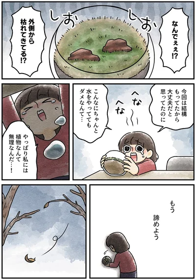 『ズボラでもできた 小さな緑で心が潤うお部屋づくり 苔テラリウムはじめました』より