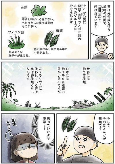 『ズボラでもできた 小さな緑で心が潤うお部屋づくり 苔テラリウムはじめました』より