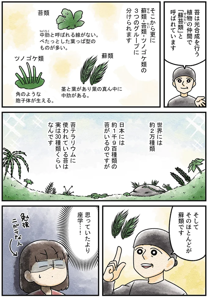 『ズボラでもできた 小さな緑で心が潤うお部屋づくり 苔テラリウムはじめました』より