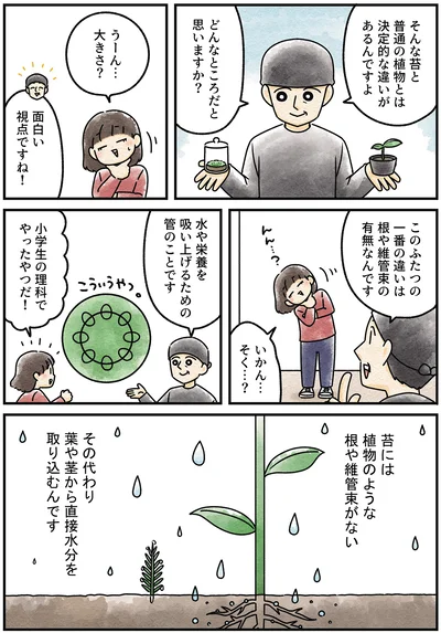 『ズボラでもできた 小さな緑で心が潤うお部屋づくり 苔テラリウムはじめました』より