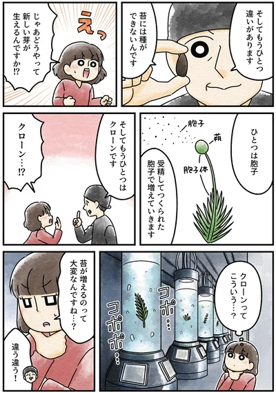 『ズボラでもできた 小さな緑で心が潤うお部屋づくり 苔テラリウムはじめました』より