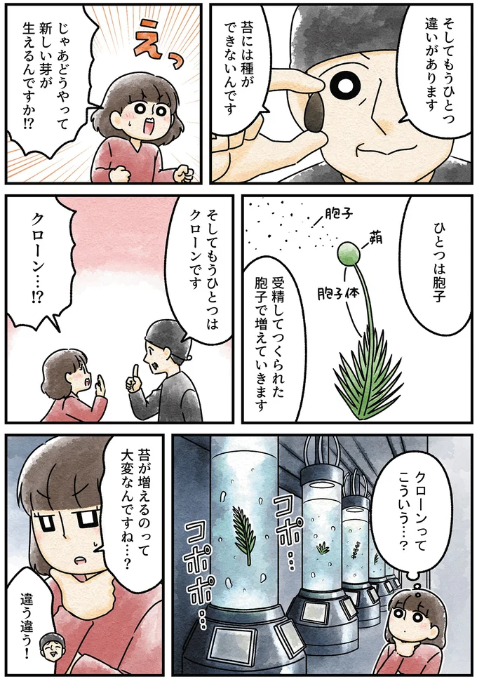 『ズボラでもできた 小さな緑で心が潤うお部屋づくり 苔テラリウムはじめました』より