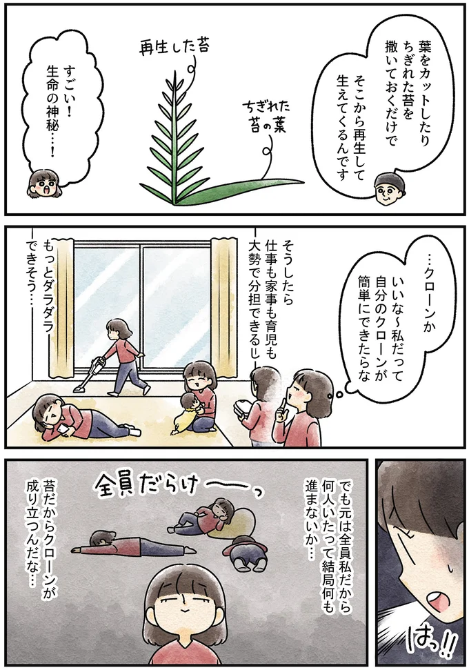 『ズボラでもできた 小さな緑で心が潤うお部屋づくり 苔テラリウムはじめました』より