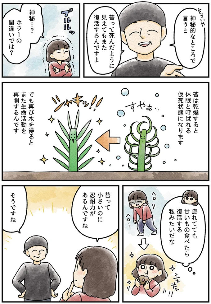 『ズボラでもできた 小さな緑で心が潤うお部屋づくり 苔テラリウムはじめました』より