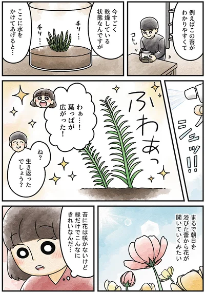 『ズボラでもできた 小さな緑で心が潤うお部屋づくり 苔テラリウムはじめました』より
