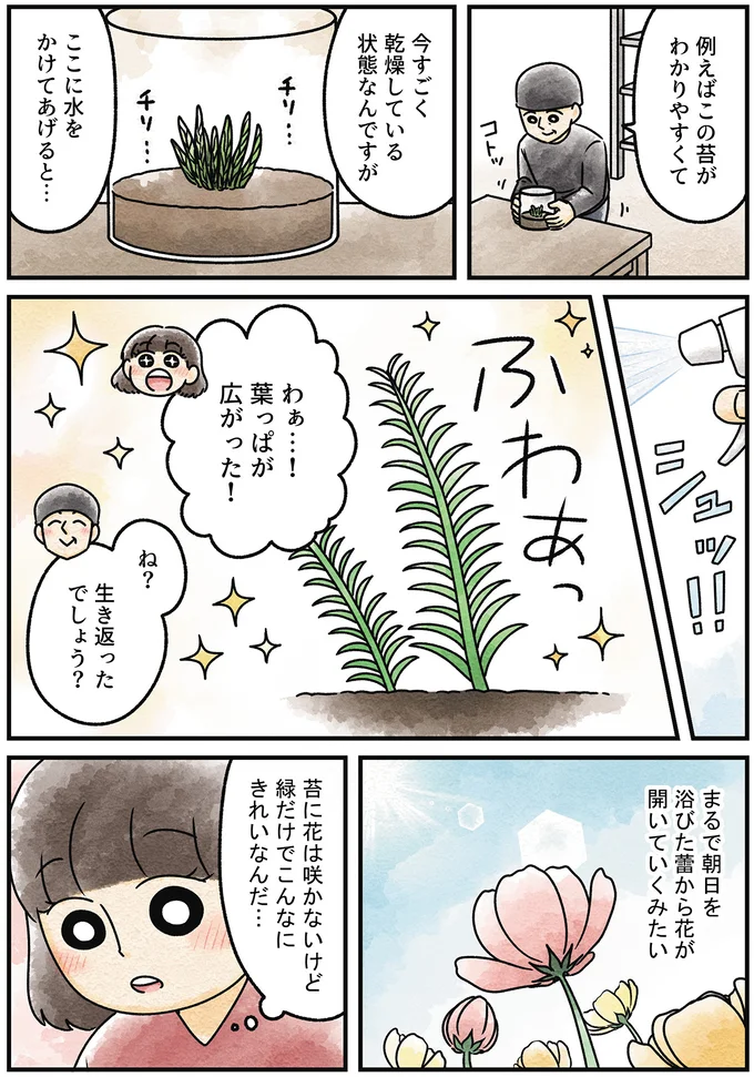 『ズボラでもできた 小さな緑で心が潤うお部屋づくり 苔テラリウムはじめました』より