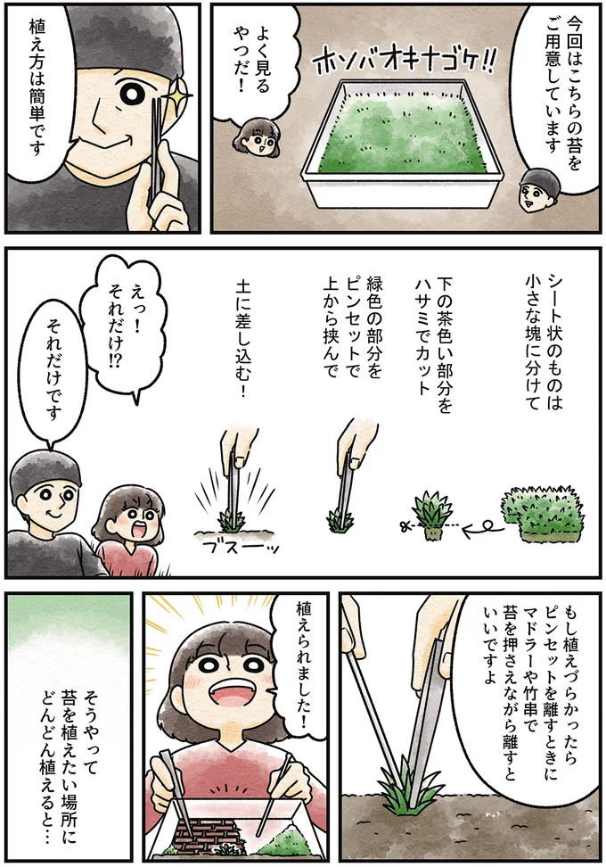 『ズボラでもできた 小さな緑で心が潤うお部屋づくり 苔テラリウムはじめました』より