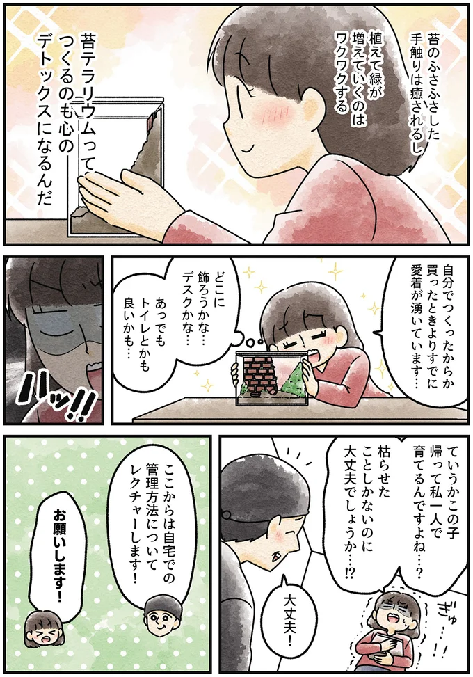 『ズボラでもできた 小さな緑で心が潤うお部屋づくり 苔テラリウムはじめました』より